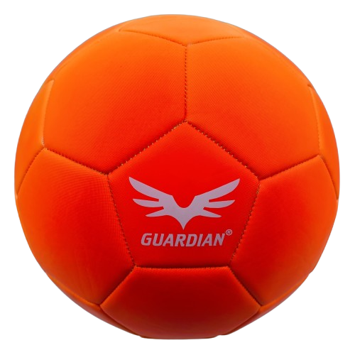 Guardian Rainbow fodbold str. 5